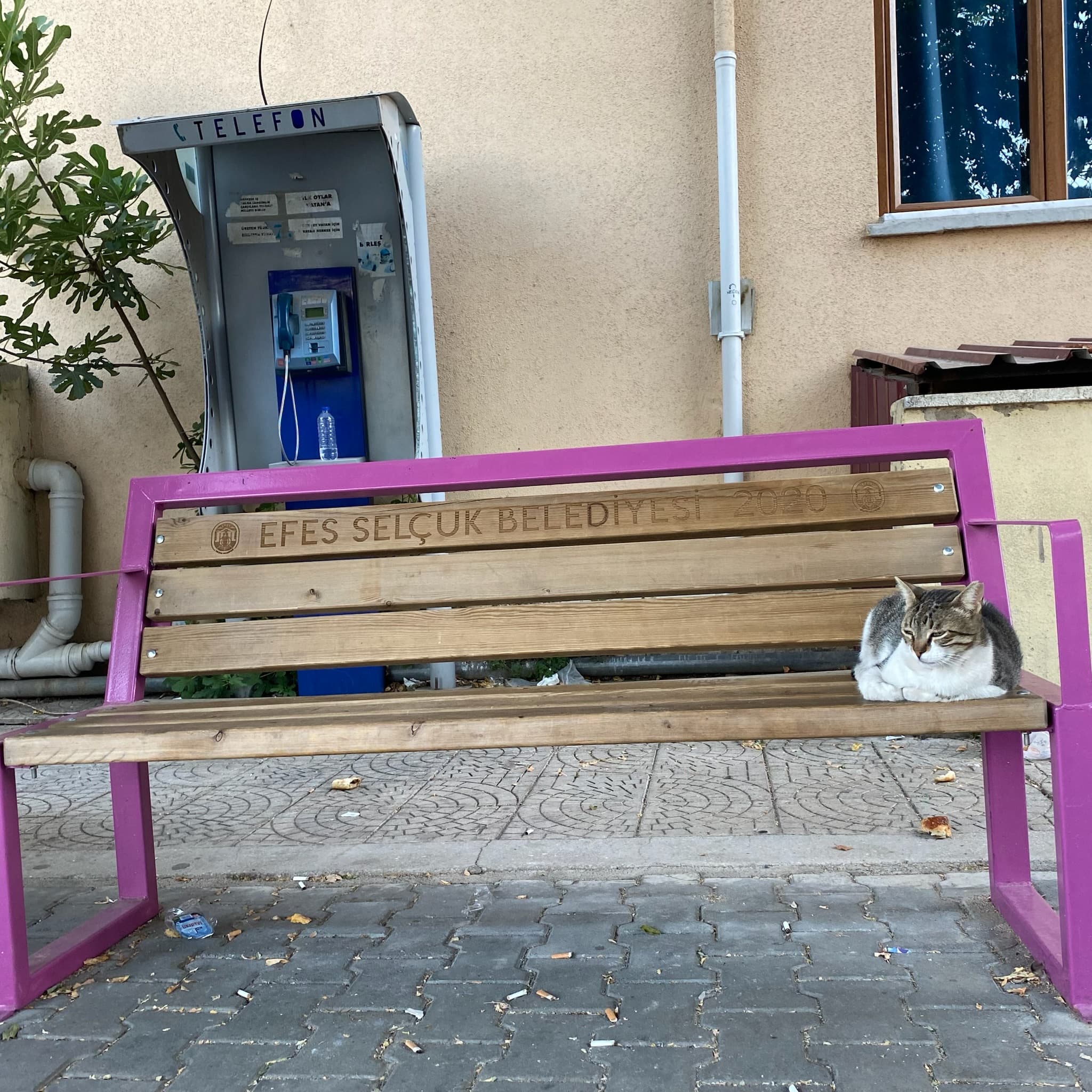 セルチュク・エフェソス旅ログ｜38℃の暑さで見たかった遺跡へ