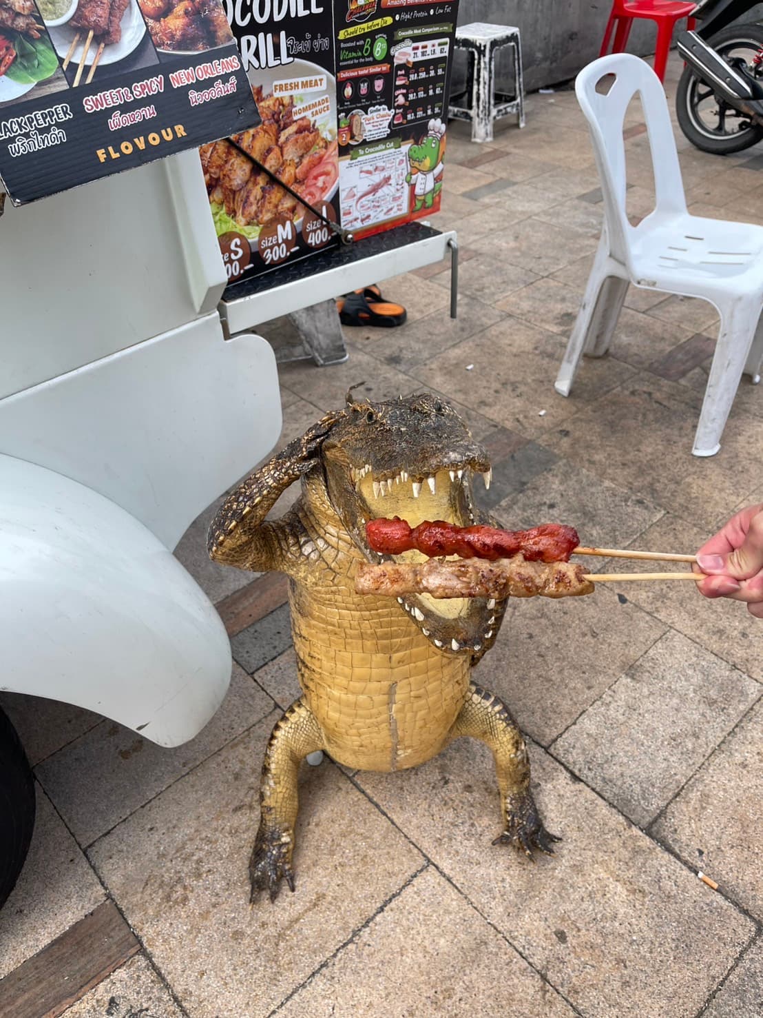 ワニの串焼き