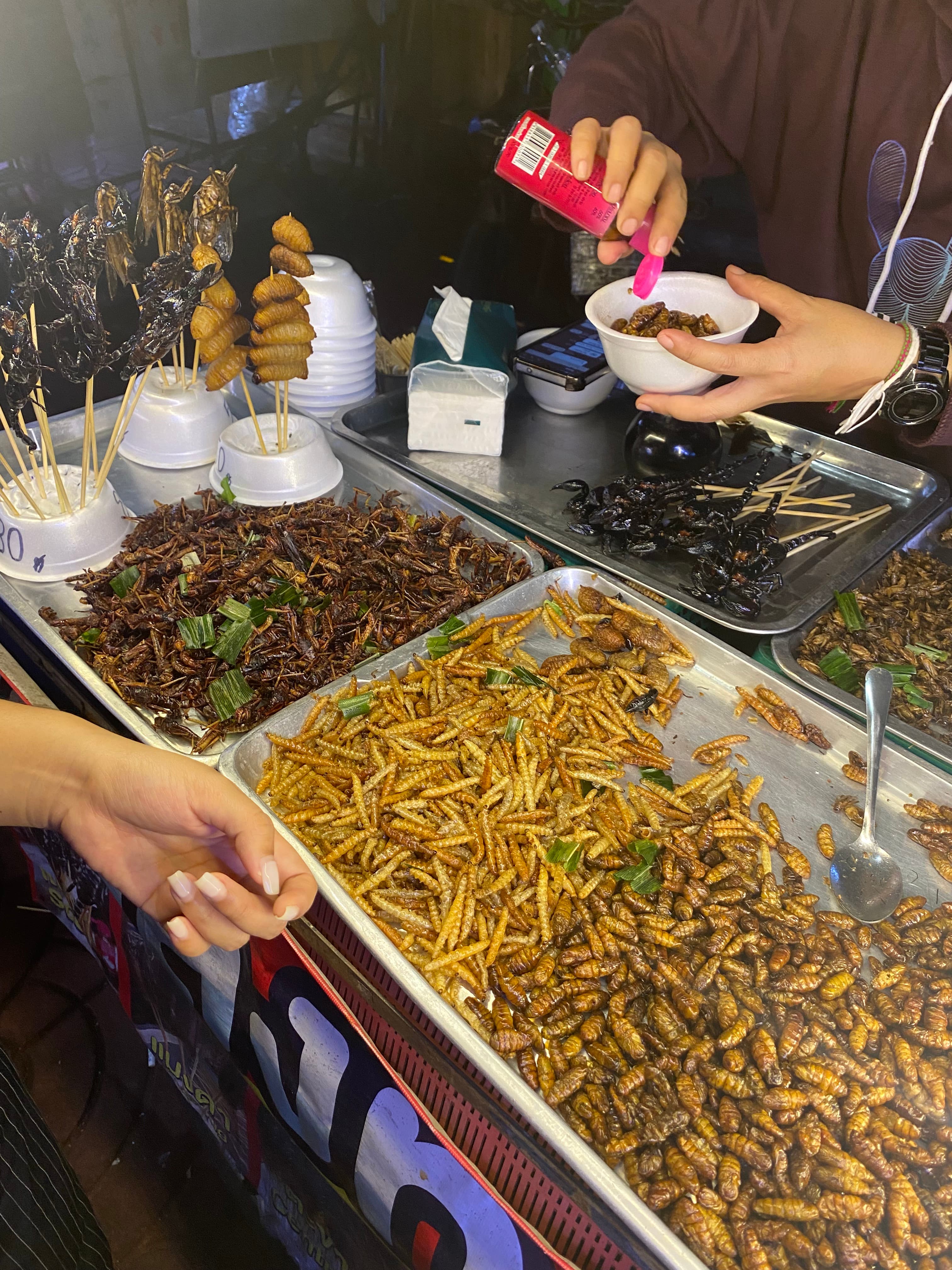 屋台で売られていた虫の食べ物