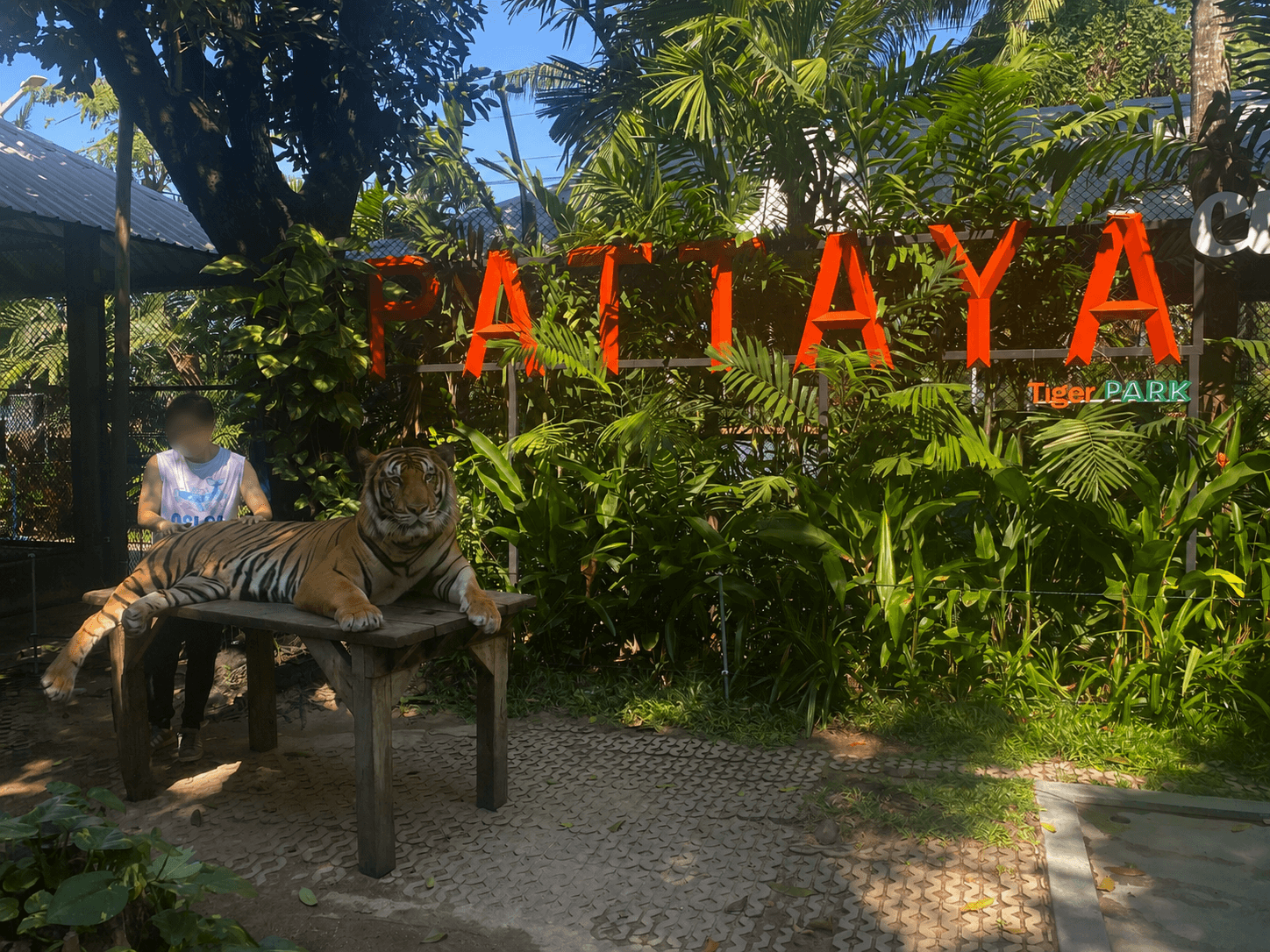 Tiger Park Pattayaの入口付近の雰囲気