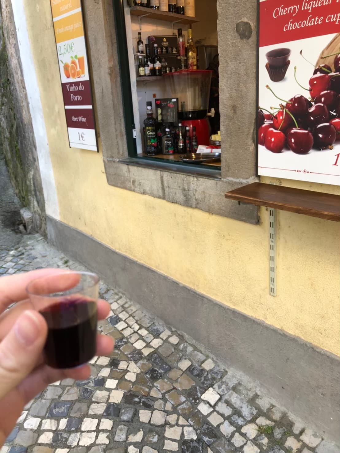 オビドス日帰り旅行記|城壁の街を歩いたポルトガル旅